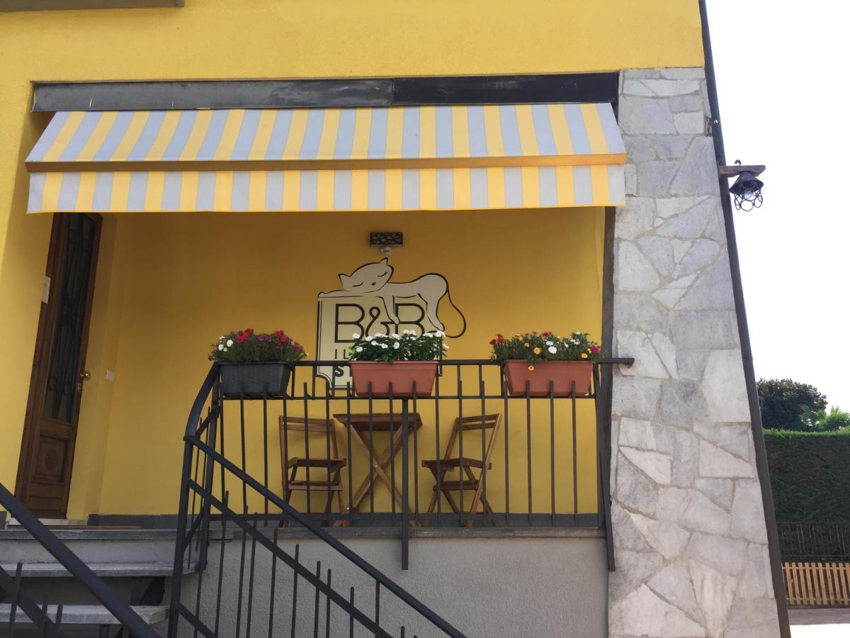 Il Gatto Stanco B&B アローナ エクステリア 写真
